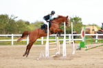 SBM_001696