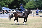 WJ7_3732