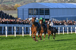 Race 6 portfolio