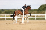 SBM_007331