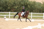 SBM_00907