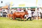 SBM_08367