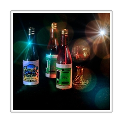 Wine Bottles & Glass