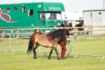 SBM_00632
