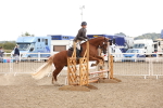 SBM_07475