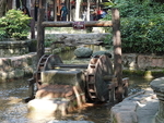 CHINA__0222