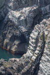 Guillemot colony, South Stack