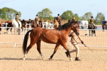 SBM_08669