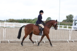 SBM_01465