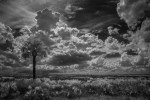 McGuire Prairie