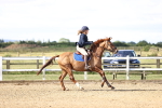 SBM_002730