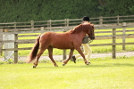 SBM_00437