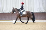 SBM_000779