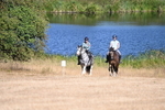 WJ6_7744