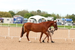 SBM_16581
