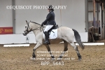 BPP_5443
