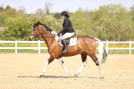 SBM_007890
