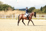 SBM_012015