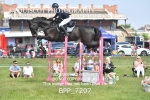 BPP_7207
