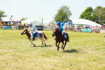 SBM_17193