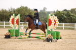 SBM_000335