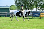 SBM_11398