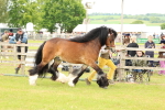 SBM_06280