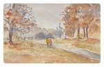 Autumn walk