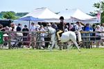 SBM_13900