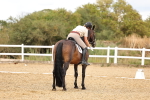 SBM_006647