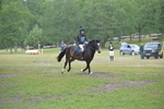 NGP_7984