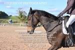 BPP_9307