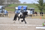 BPP_8833