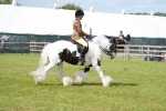 SBM_17246