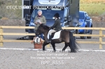 BPP_8555