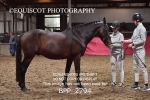 BPP_2794