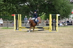 WJ6_1173