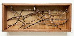 Phasmatodea