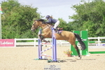 Saturday Wessex Arena portfolio