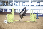 SBM_000687
