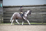 SBM_007902