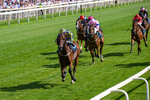 110726-Race 5-Cruden-0367