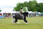 SBM_01304