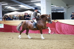 SBM_18921
