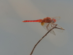 P1045861