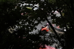FOM_4070