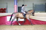 SBM_23217