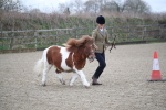 SBM_003924