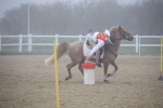 SBM_000981