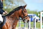 Cls 02 6 Yr Old Qualifier portfolio